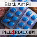 Black Ant Pill viagra2